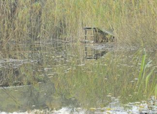 Jezero Kapavica – Najmanje jezero u NP Fruška gora Jezero Kapavica
