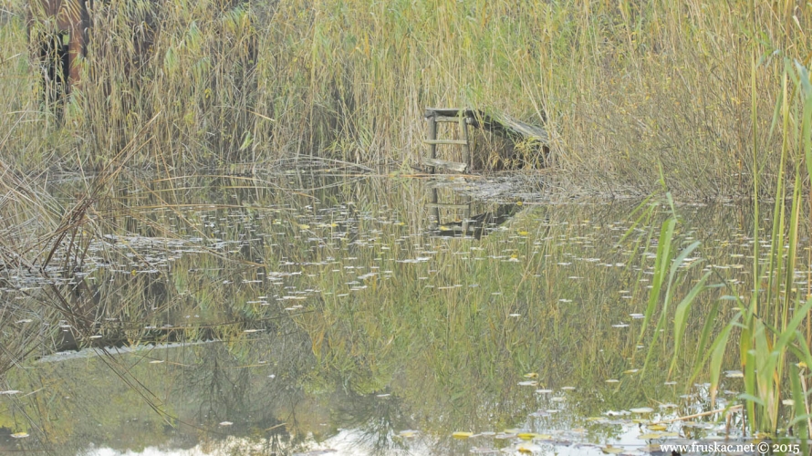 Jezero Kapavica