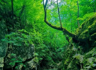 Banjski potok – Skriveni biser Ovčarsko-kablarske klisure Banjski potok - Dučalovački potok