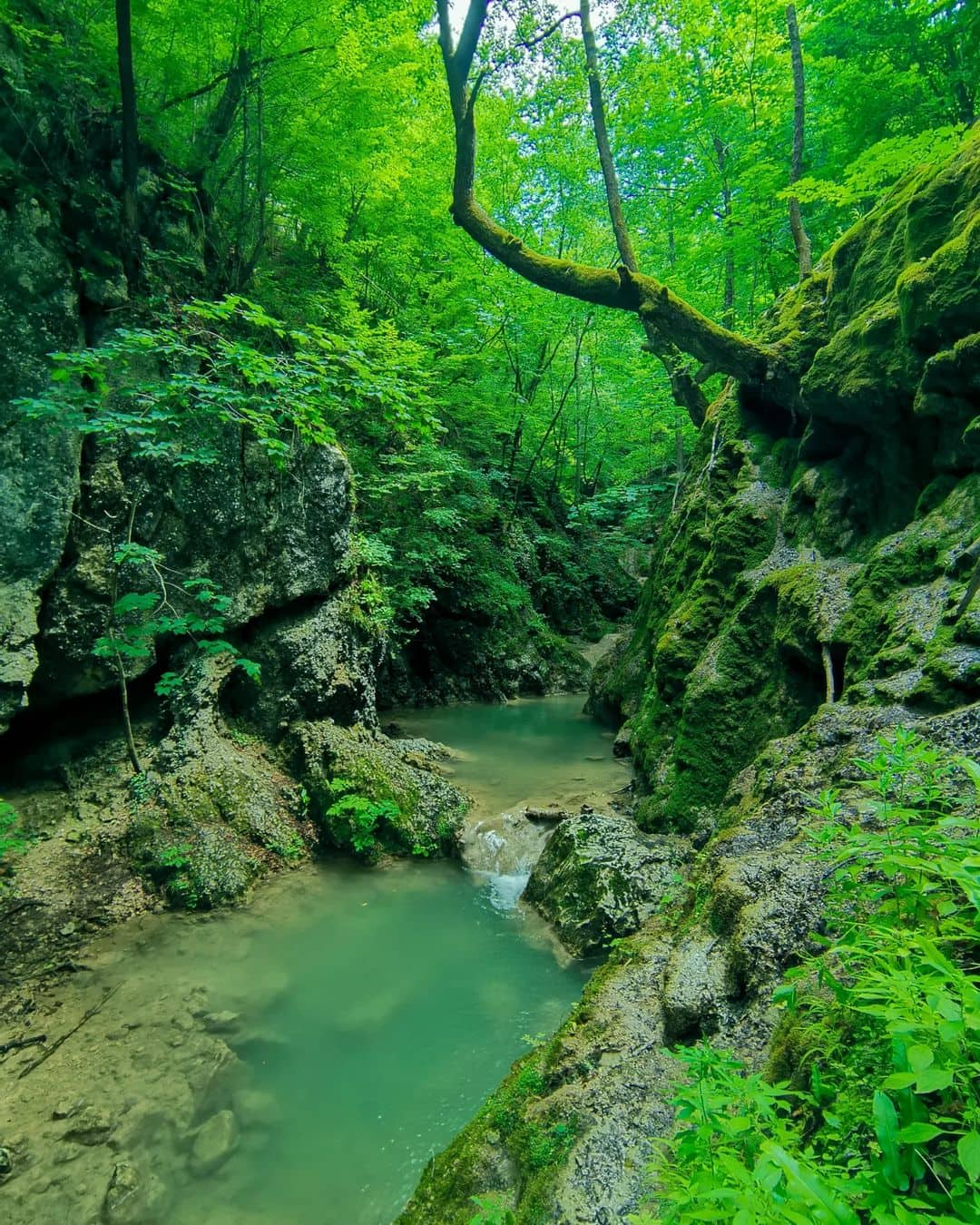 banjski-potok-skriveni-biser-ov-arsko-kablarske-klisure-srbija-pod