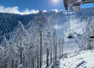 Priprema za zimovanje u Srbiji: Saveti za očuvanje dobrog zdravlja Gondola na Zlatiboru