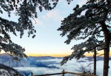 „Tara – netaknuta priroda i skrivena čuda nacionalnog parka“