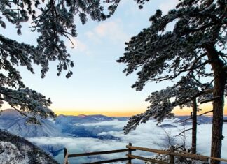 „Tara – netaknuta priroda i skrivena čuda nacionalnog parka“